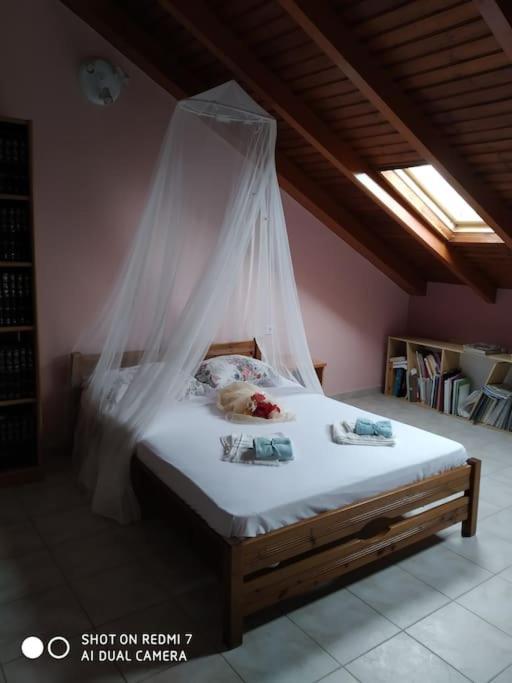 Grecos Apartment Preveza Ngoại thất bức ảnh