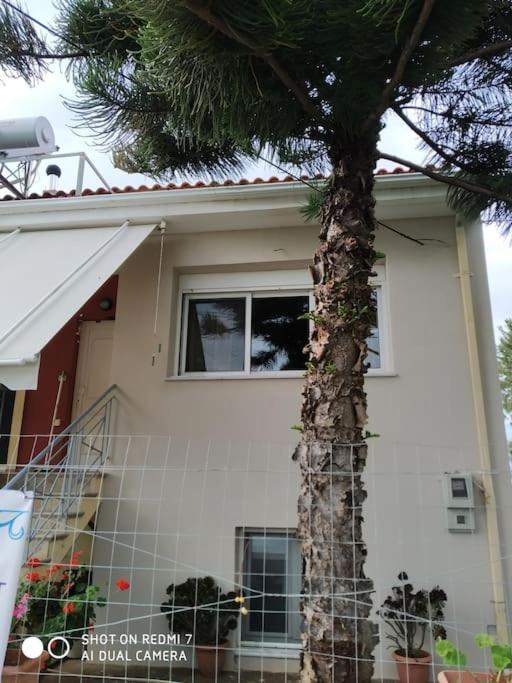 Grecos Apartment Preveza Ngoại thất bức ảnh